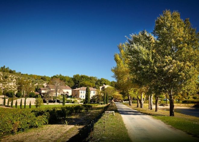 Brad Pitt Tuntut RM164 Juta Daripada Angelina Jolie Dalam Pertikaian Ladang Wain